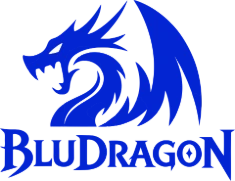 BluDragon India